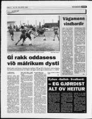 Síða 12