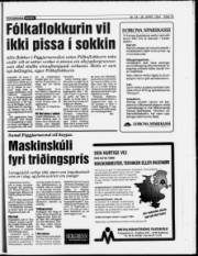 Síða 15