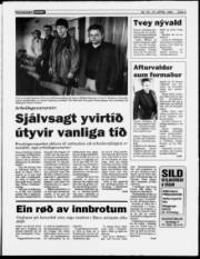 Síða 3