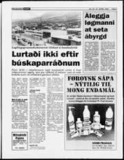 Síða 5