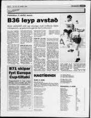 Síða 8
