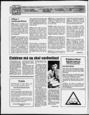 Síða 2