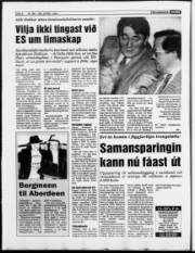 Síða 6