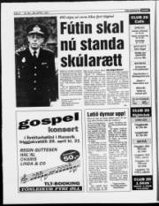 Síða 8