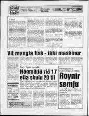 Síða 2