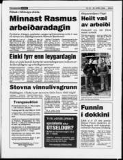 Síða 3