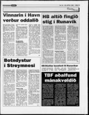 Síða 19