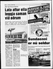 Síða 6