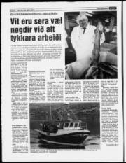 Síða 8