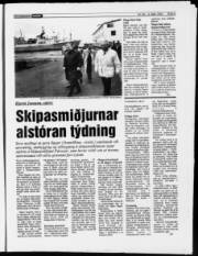 Síða 9