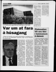 Síða 17
