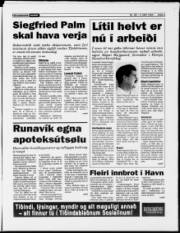 Síða 3