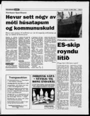 Síða 5