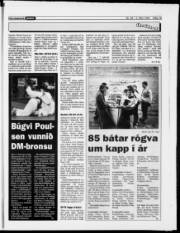 Síða 19