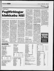 Síða 13