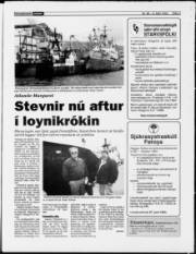 Síða 3