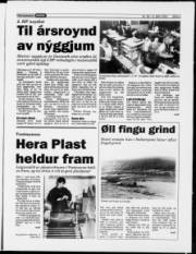 Síða 5