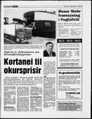 Síða 17