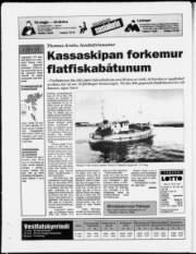 Síða 24