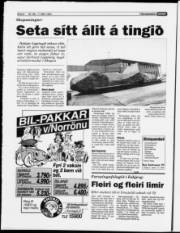 Síða 6