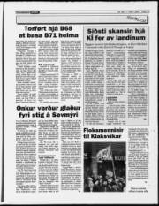 Síða 13