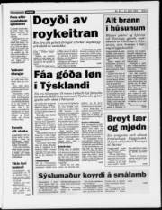 Síða 3