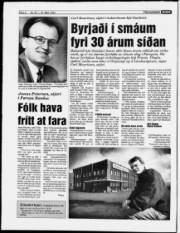 Síða 6