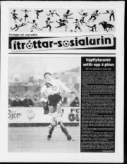 Síða 9