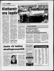 Síða 17