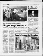 Síða 3