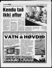 Síða 7