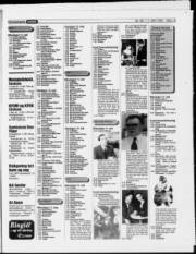 Síða 19