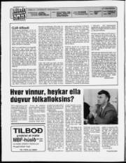 Síða 2