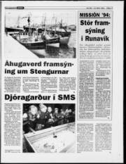 Síða 17