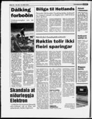 Síða 10