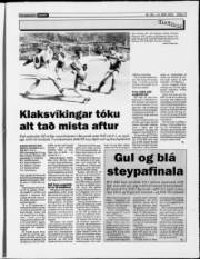 Síða 13