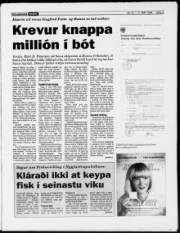 Síða 3