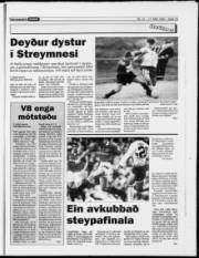 Síða 15
