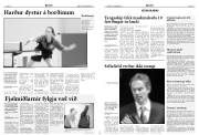 Síða 14
