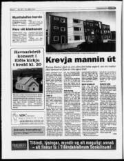 Síða 6