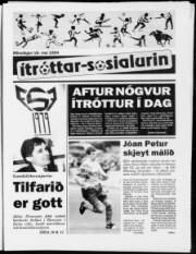 Síða 7