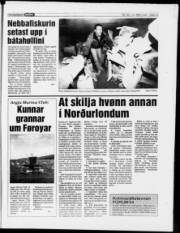 Síða 15