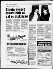 Síða 6