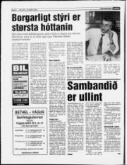 Síða 8