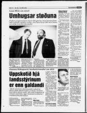 Síða 14