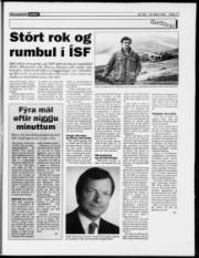Síða 17
