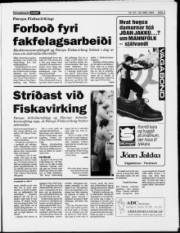 Síða 3