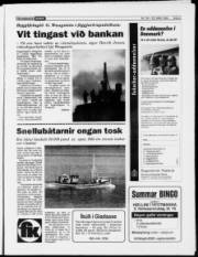 Síða 5