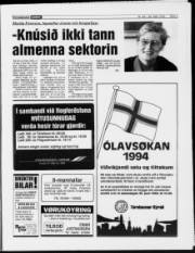 Síða 9