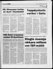 Síða 17